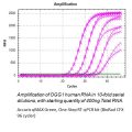 Accuris-One-Step-RT-qPCR-flourescent-curves