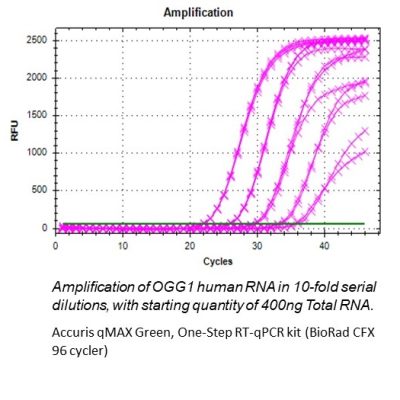 Accuris-One-Step-RT-qPCR-flourescent-curves