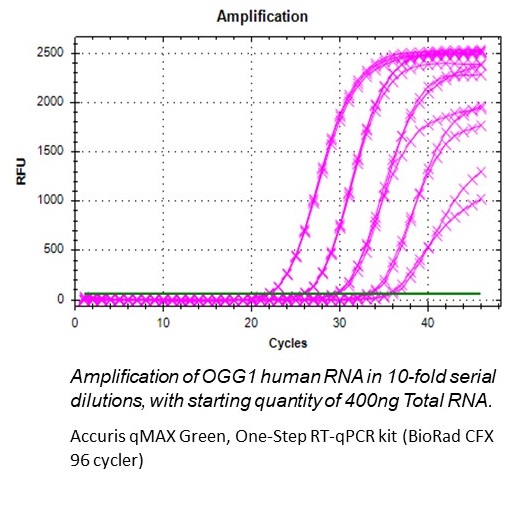 Accuris-One-Step-RT-qPCR-flourescent-curves